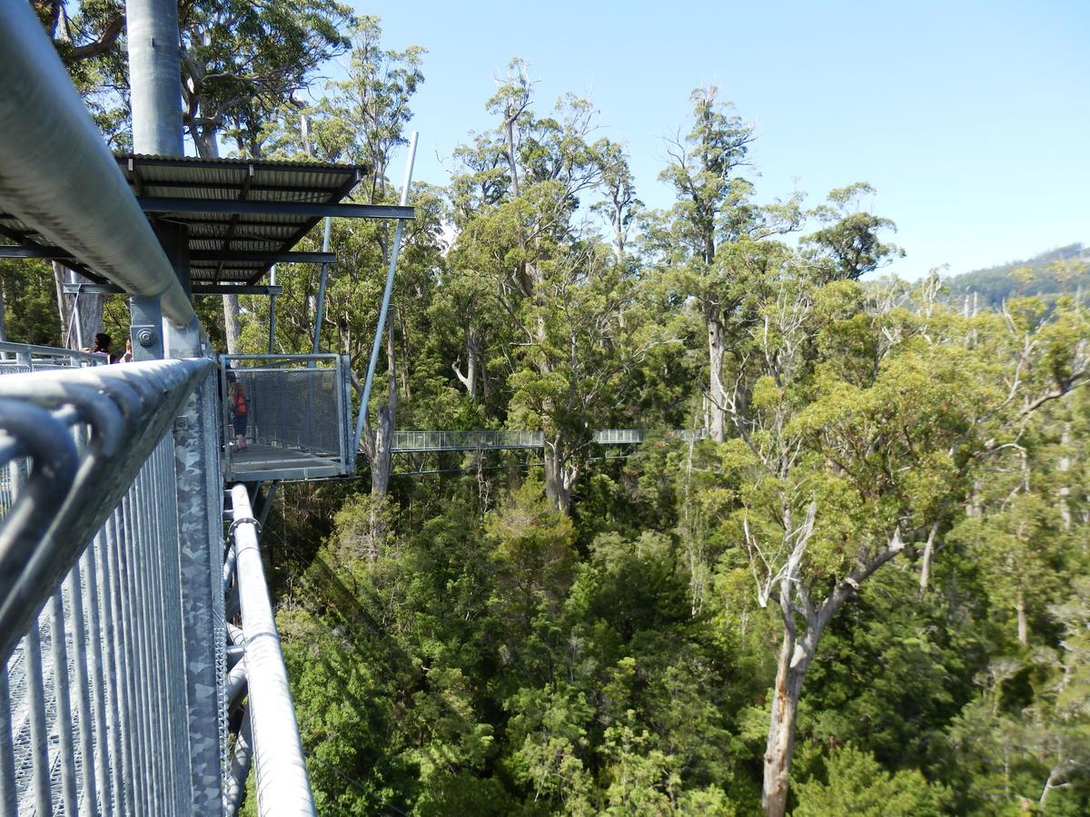 Tahune Airwalk Cabin And Lodge Geeveston Zewnętrze zdjęcie